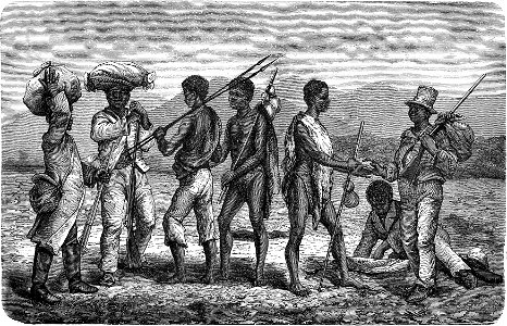 Seven Years in South Africa, page 213, meeting between Baustos returning from diamond fieds and other going thither