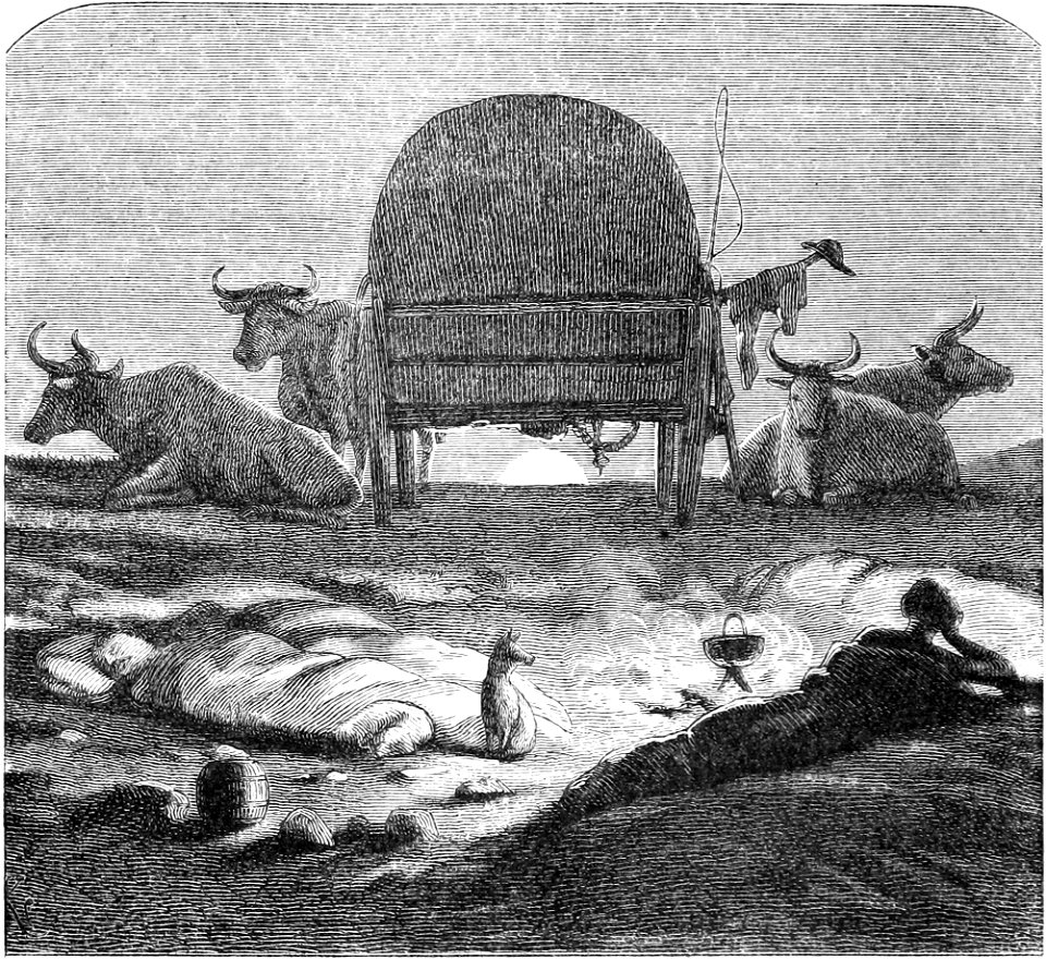 Seven Years in South Africa, page 168, night-camp