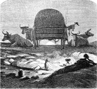 Seven Years in South Africa, page 168, night-camp