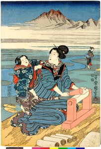 Settsu no kuni Toi no tamagawa 摂津国の玉川 (The Toi Crystal River in Settsu Province) (BM 2008,3037.18604)