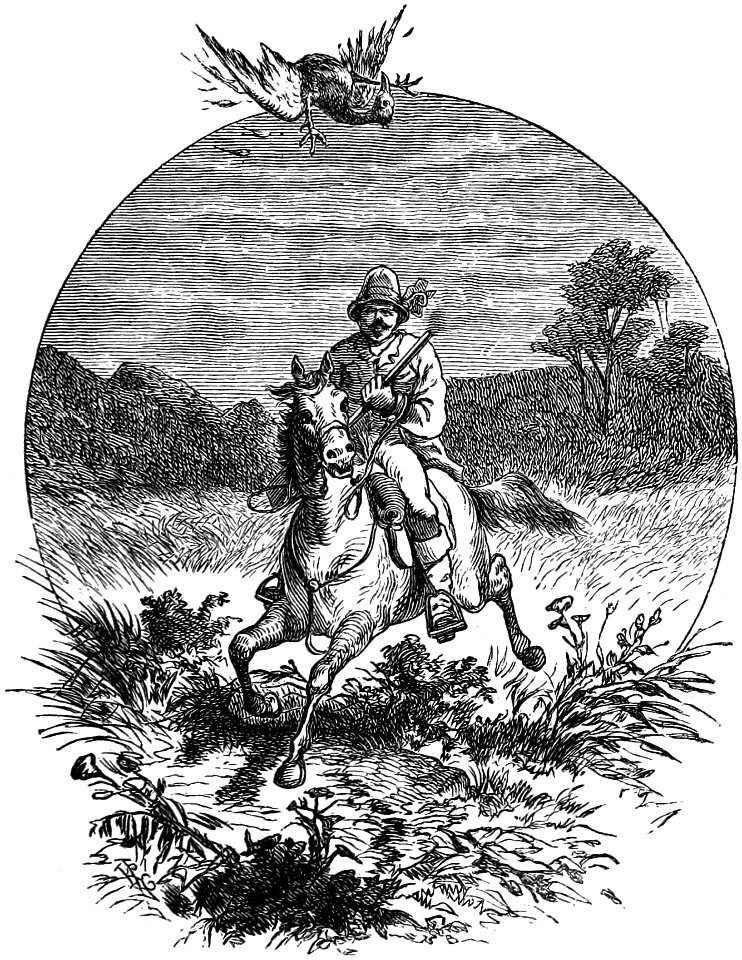Seven Years in South Africa, page 215