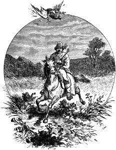 Seven Years in South Africa, page 215