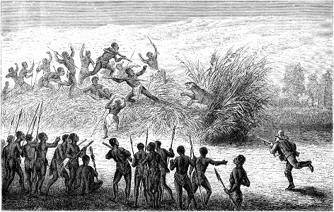 Seven Years in South Africa, page 253, lion hunt near Sesheke