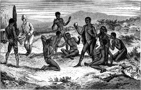 Seven Years in South Africa, page 376, Sekhomo and his council