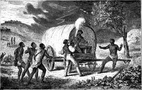 Seven Years in South Africa, page 129, accident in the Harts River valley