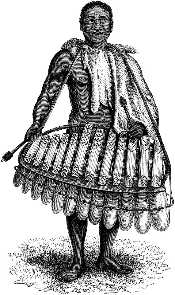 Seven Years in South Africa, page 302, Sepopo's head musician