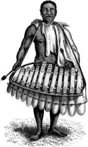 Seven Years in South Africa, page 302, Sepopo's head musician