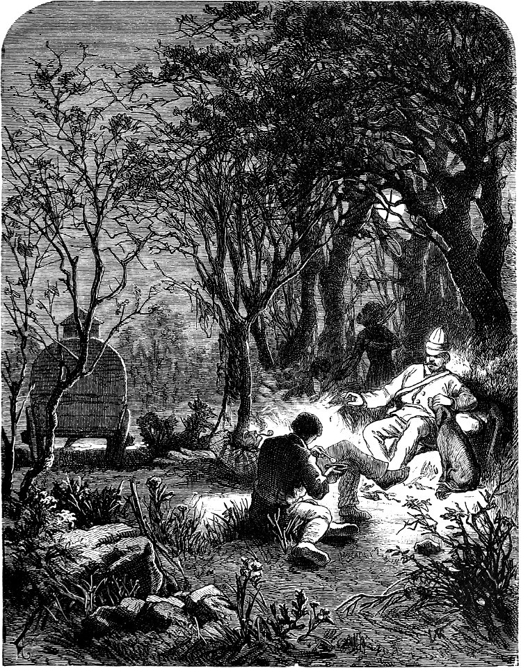 Seven Years in South Africa, page 216, moonlight evening in the forest