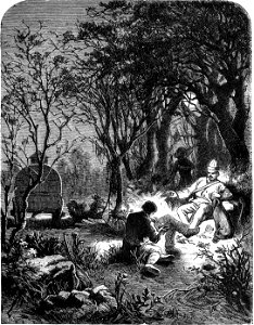 Seven Years in South Africa, page 216, moonlight evening in the forest