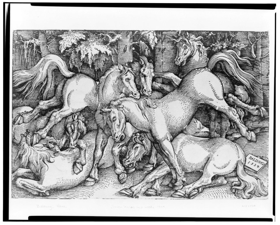 Seven horses in a wood) - Baldung, 1534 LCCN2003691012