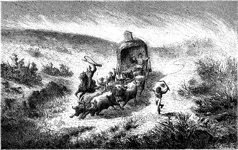 Seven Years in South Africa, page 225, the plains on fire
