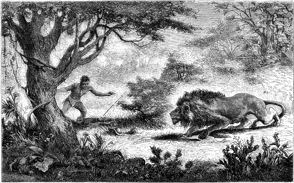 Seven Years in South Africa, page 265, the Bechuana finds the remains of his brother