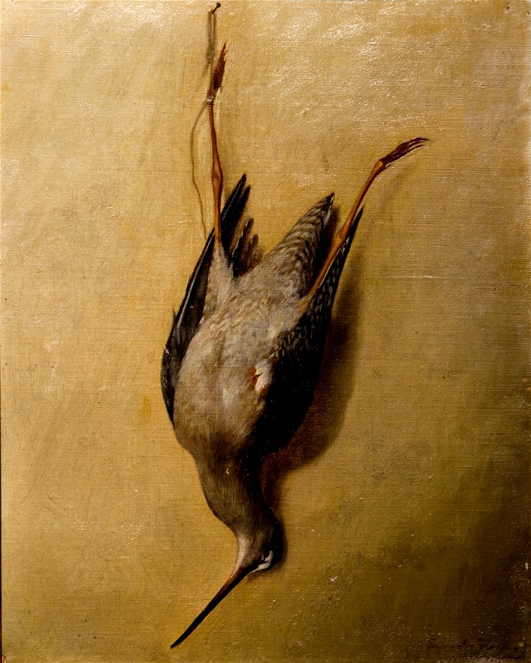 Severin Falkman Nature morte, lehtokurppa, ajoittamaton