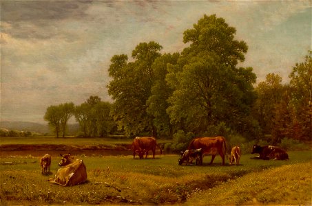 Summer Landscape with Cattle Grazing by Aaron Draper Shattuck
