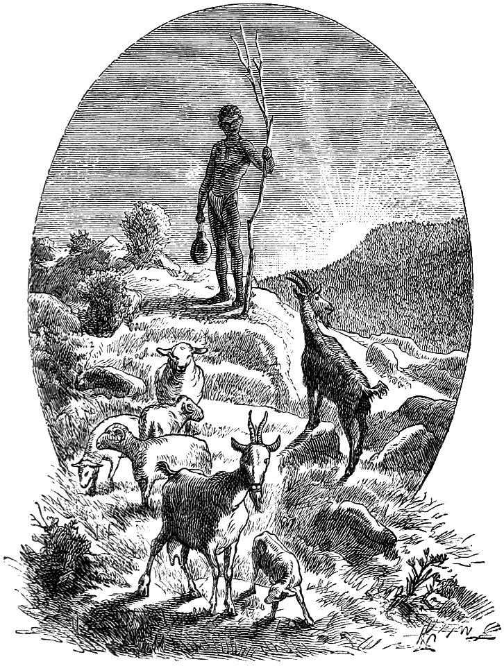 Seven Years in South Africa, page 77, Batlhaping shepherd