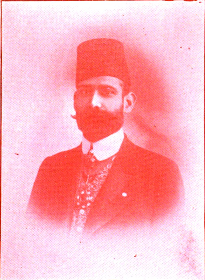 Shaik Moshir Husain Kidwai at The Modern Review Vol 3 (January to June 1908) (page 194 crop)