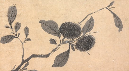 Shen Zhou - Fruit - 73.162 - Indianapolis Museum of Art