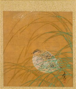 Shibata Zeshin - Leaf from Album of Seasonal Themes, Shoreline with Birds - 1990.130.e - Cleveland Museum of Art