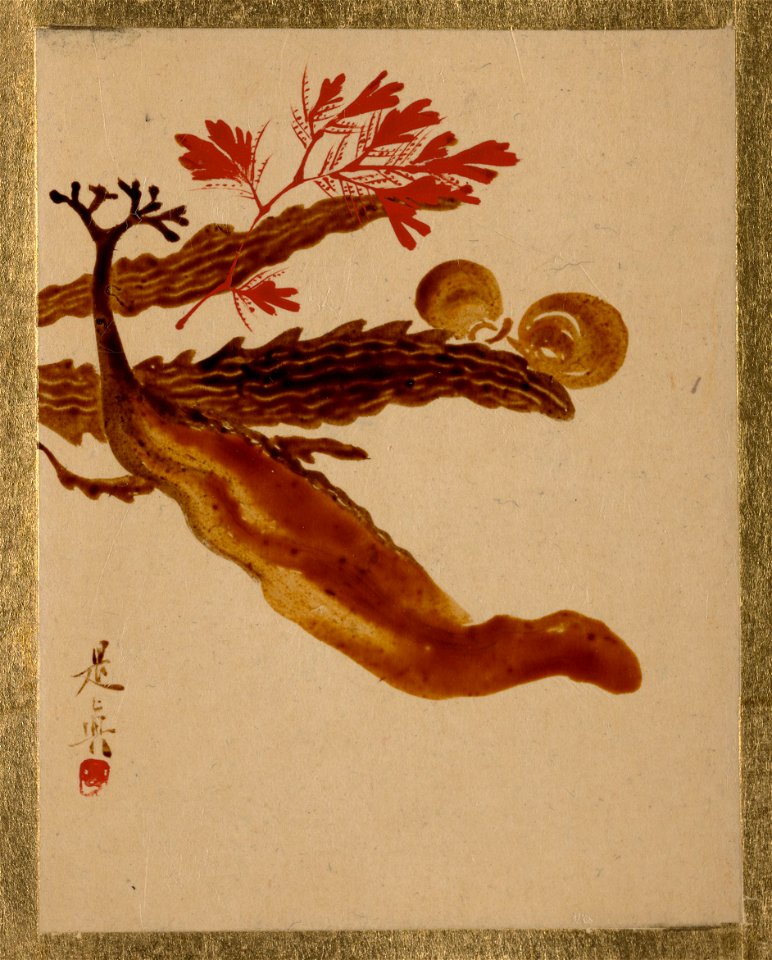 Shibata Zeshin - Seaweed - 36.100.129 - Metropolitan Museum of Art