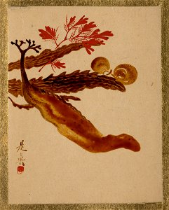 Shibata Zeshin - Seaweed - 36.100.129 - Metropolitan Museum of Art