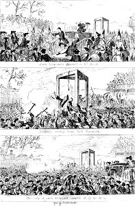 Sheppard Cruikshank