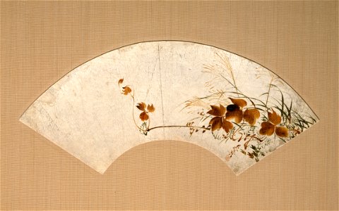 Shibata Zeshin - Autumn Leaves and Grasses (Akikusa zu urushi-e senmen) - 15-1960 - Saint Louis Art Museum
