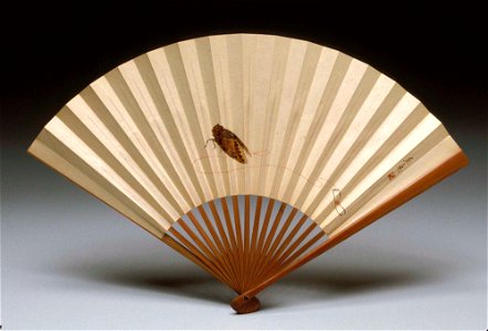 Shibata Zeshin - Cicada on a String - 66.223 - Detroit Institute of Arts