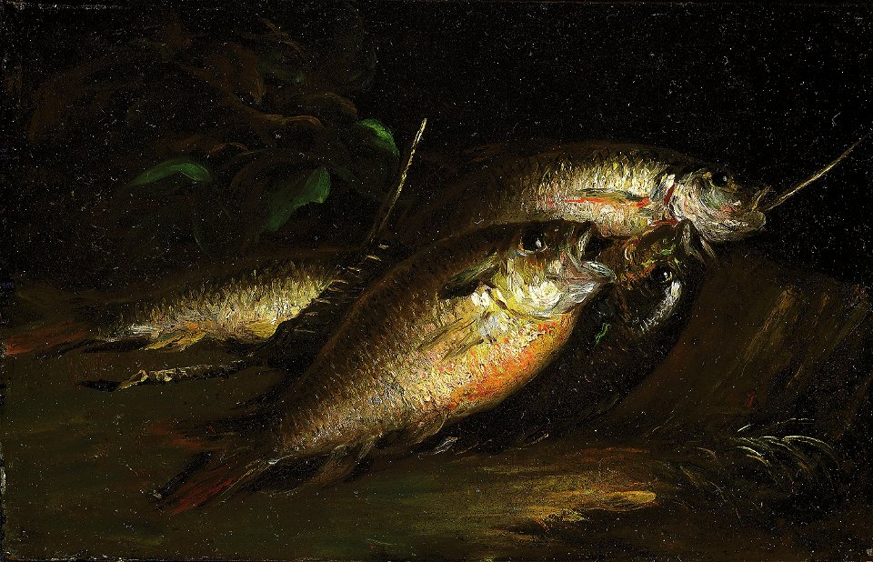 Shepard Alonzo Mount - Fish - 1985.239 - Art Institute of Chicago