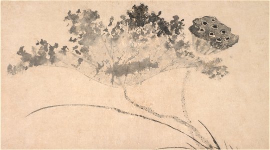 Shen Zhou - Lotus Flower and Pod - 73.157 - Indianapolis Museum of Art