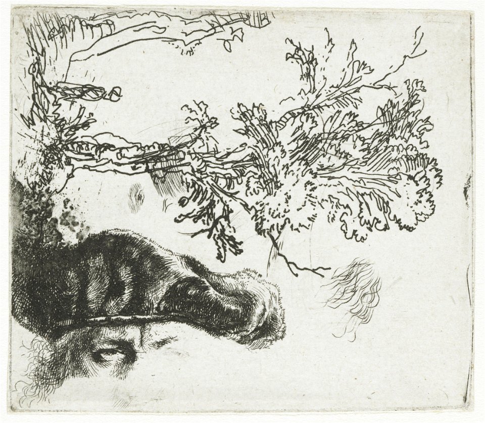 Sheet with two studies, a tree, and the upper part of the head of the artist wearing a velvet cap, Rembrandt van Rijn, etching, 78 by 68 mm, 1640 to 1644, Bartsch 372