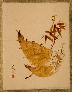 Shibata Zeshin - Bamboo Shoots - 36.100.126 - Metropolitan Museum of Art