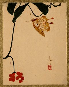 Shibata Zeshin - Red Berry Plant and Butterfly - 36.100.130 - Metropolitan Museum of Art