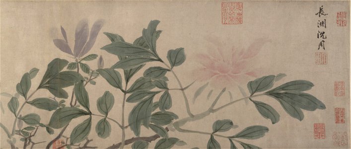 Shen Zhou - Flowers of the Four Seasons - 1982.205 - Metropolitan Museum of Art