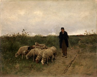 Shepherd and Sheep P3500