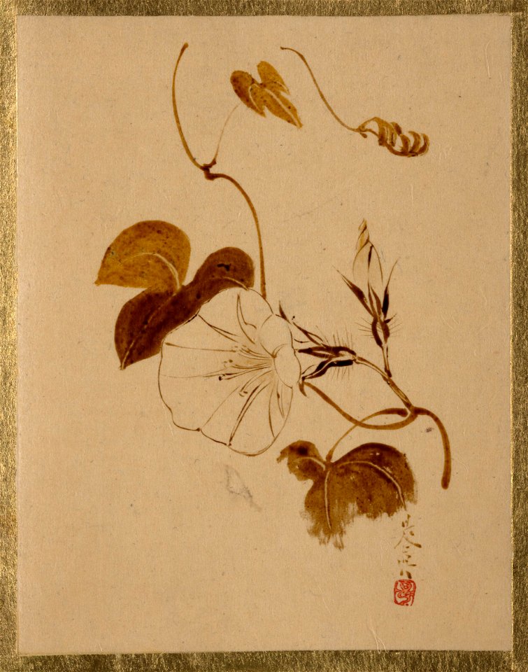 Shibata Zeshin - Morning Glory - 36.100.132 - Metropolitan Museum of Art