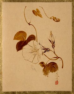 Shibata Zeshin - Morning Glory - 36.100.132 - Metropolitan Museum of Art