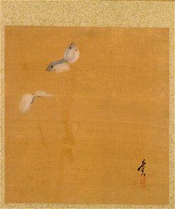 Shibata Zeshin - Leaf from Album of Seasonal Themes, Maple Leaves and Feather - 1990.130.j - Cleveland Museum of Art