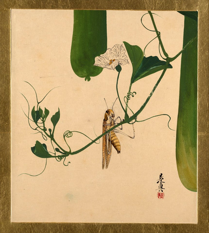 Shibata Zeshin - Lacquer Paintings of Various Subjects, Grasshopper on Gourd Vine - 36.100.105 - Metropolitan Museum of Art