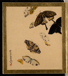 Shibata Zeshin - Lacquer Paintings of Various Subjects, Butterflies - 36.100.111 - Metropolitan Museum of Art