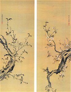 Shiba Kôkan Zweige