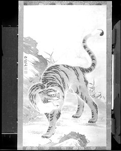Shirakawa Shizan - Tiger in Landscape - 1943.1819 - Arthur M. Sackler Museum