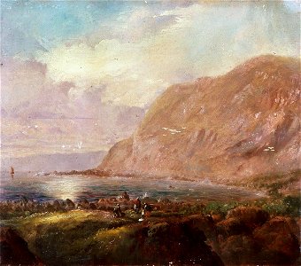 Shoreline with cliffs