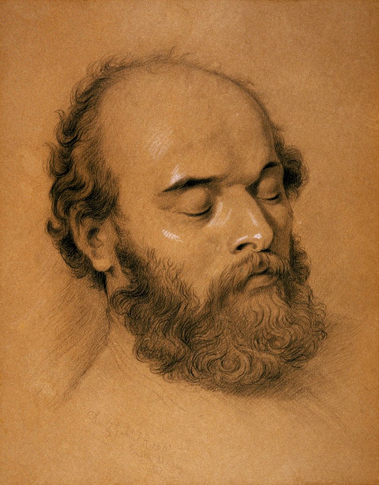 Shields rossetti