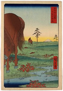 Shimōsa koganehara LCCN2008660265