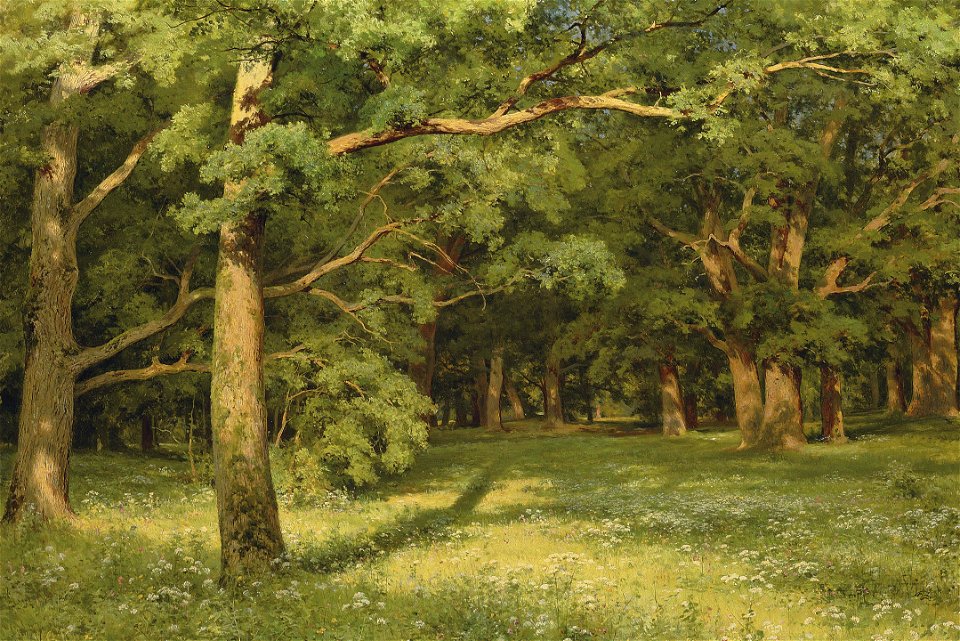 Shiskin - The Forest Clearing