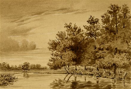 Short - Riverside scene with meadows