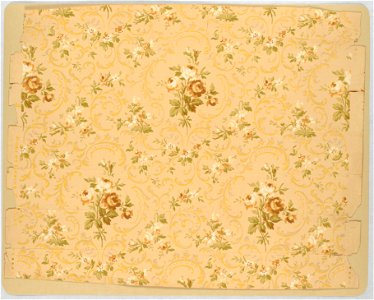 Sidewall (USA), 1890–1910 (CH 18481559)