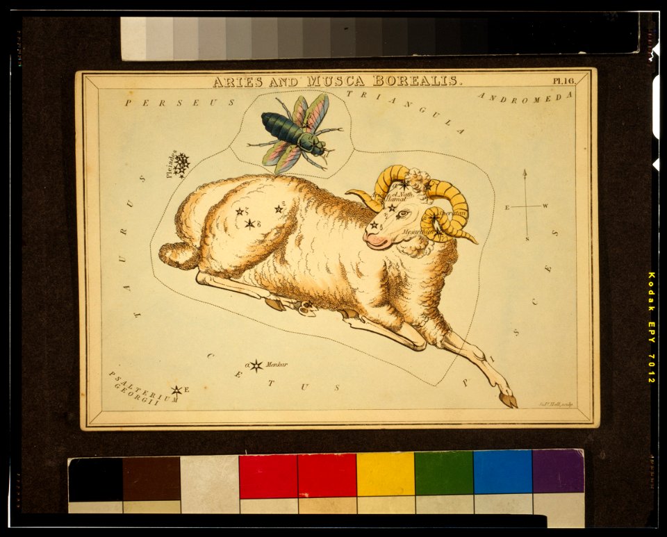 Sidney Hall - Urania's Mirror - Aries and Musca Borealis - original