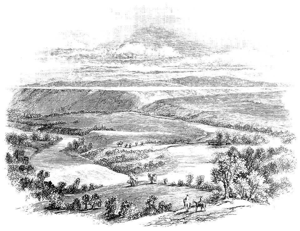 SIBERIA IN SUMMER