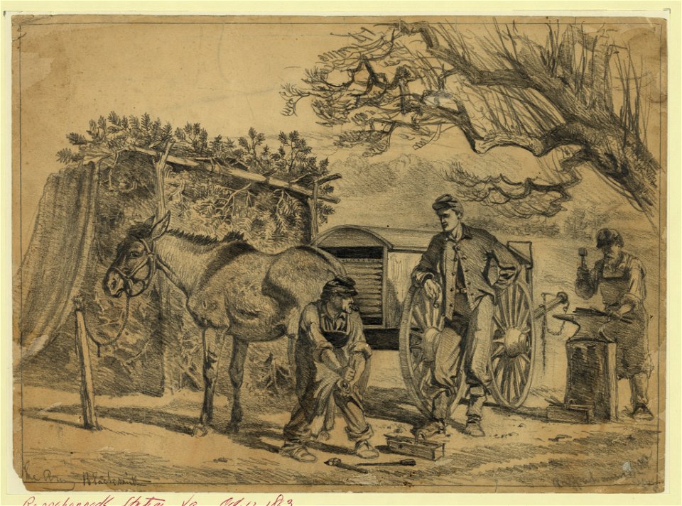 Shoeing a mule LCCN2004661582